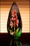 DigitalScape Photography